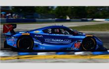 90 - Chevrolet Corvette DP #CPM-GM007 (Coyote) - VisitFlorida.com Racing