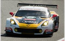 50 - Chevrolet Corvette C7.R #C7RGT-002 (Pratt & Miller) - Larbre Competition