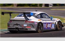 44 - Porsche 991 GT America #WP0ZZZ99ZES198100 - Magnus Racing