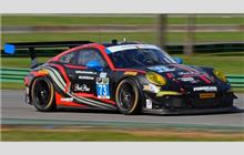 73 - Porsche 991 GT America #WP0ZZZ99ZES198085 - Park Place Motorsports