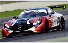89 - Mercedes AMG GT3 #AMG GT3 190 16 014 - AKKA ASP Team