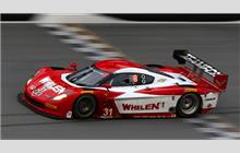 31 - Chevrolet Corvette DP #CPM-GM011 (Coyote) - Action Express Racing