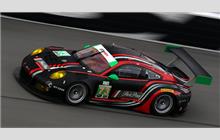 73 - Porsche 991 GT3 R #WP0ZZZ99ZGS199506 - Park Place Motorsports