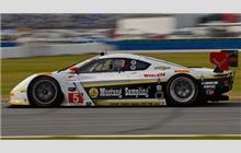 5 - Chevrolet Corvette DP #CPM-GM009 (Coyote) - Action Express Racing