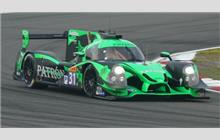 31 - Ligier JS P2 Nissan #OR02-17 (Onroak) - Extreme Speed Motorsports