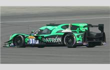 31 - Ligier JS P2 Nissan #OR02-17 (Onroak) - Extreme Speed Motorsports