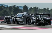 7 - Ligier JS P3 Nissan #OR03-32 (Onroak) - Villorba Corse