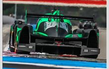 31 - Ligier JS P2 Nissan (Onroak) - Extreme Speed Motorsports