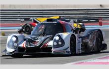 888 - Ligier JS P3 Nissan #OR03-02 (Onroak) - Graff