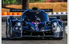 12 - Ligier JS P3 Nissan #OR03-03 (Onroak) - Eurointernational