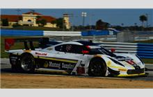 5 - Chevrolet Corvette DP #CPM-GM009 (Coyote) - Action Express Racing