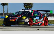 73 - Porsche 991 GT3 R #WP0ZZZ99ZGS199506 - Park Place Motorsports