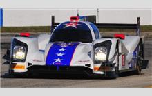 81 - Oreca 05 Nissan #05 - DragonSpeed