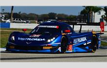 90 - Chevrolet Corvette DP #CPM-GM010 (Coyote) - VisitFlorida Racing