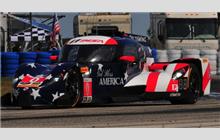 0 - DeltaWing DWC13 Elan #DWC13-003 - Panoz DeltaWing Racing