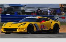 3 - Chevrolet Corvette C7.R #C7RGT-005 (Pratt & Miller) - Corvette Racing