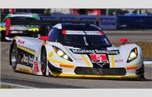 5 - Chevrolet Corvette DP #CPM-GM009 (Coyote) - Action Express Racing