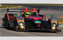 8 - Oreca FLM 09 Chevrolet #24 - Starworks Motorsport