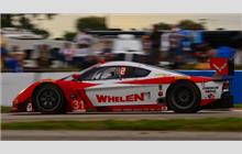 31 - Chevrolet Corvette DP #CPM-GM011 (Coyote) - Action Express Racing