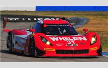 31 - Chevrolet Corvette DP #CPM-GM011 (Coyote) - Action Express Racing