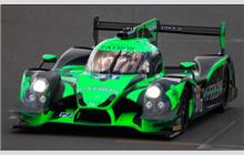 31 - Ligier JS P2 Nissan (Onroak) - Extreme Speed Motorsports