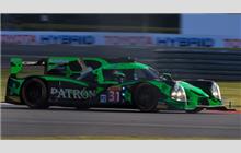 31 - Ligier JS P2 Nissan (Onroak) - Extreme Speed Motorsports