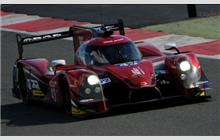 43 - Ligier JS P2 Nissan #OR02-05 (Onroak) - RGR Sport by Morand