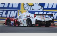 17 - Ligier JS P3 Nissan (Onroak) - Ultimate