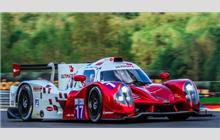 17 - Ligier JS P3 Nissan (Onroak) - Ultimate