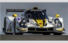 15 - Ligier JS P3 Nissan #OR03-43 (Onroak) - RLR MSport