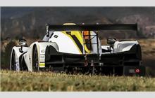 15 - Ligier JS P3 Nissan #OR03-43 (Onroak) - RLR MSport