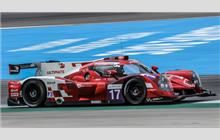 17 - Ligier JS P3 Nissan (Onroak) - Ultimate