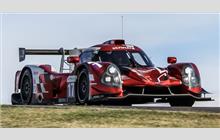 17 - Ligier JS P3 Nissan (Onroak) - Ultimate