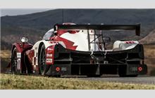 17 - Ligier JS P3 Nissan (Onroak) - Ultimate