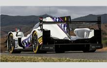 21 - Oreca 07 Gibson #10 - DragonSpeed