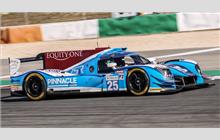 25 - Ligier JS P217 Gibson #OR05-14 (Onroak) - Algarve Pro Racing
