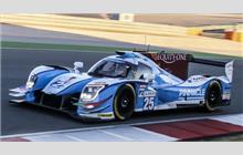 25 - Ligier JS P217 Gibson #OR05-14 (Onroak) - Algarve Pro Racing