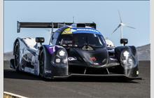 79 - Ligier JS P3 Nissan (Onroak) - Nielsen Racing