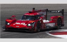 31 - Cadillac DPi-V.R #P217-008 (Dallara) - Whelen Engineering Racing