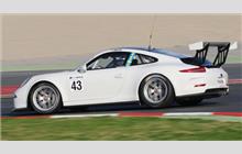 43 - Porsche 991 GT3 Cup #WP0ZZZ99ZFS198241 - PRO GT by Philippe Almeras