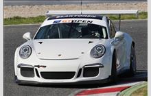 43 - Porsche 991 GT3 Cup #WP0ZZZ99ZFS198241 - PRO GT by Philippe Almeras