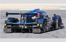 8 - Ligier JS P3 Nissan #OR03-18 (Onroak) - Duqueine Engineering