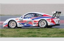 56 - Porsche 991 GT3 Cup #WP0ZZZ99ZES198250 - RMS