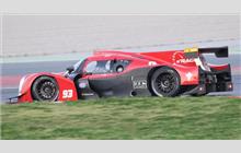 93 - Ligier JS P3 Nissan #OR03-20 (Onroak) - N'Race