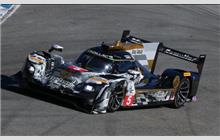 5 - Cadillac DPi-V.R #P217-003 (Dallara) - Mustang Sampling Racing