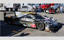 5 - Cadillac DPi-V.R #P217-003 (Dallara) - Mustang Sampling Racing