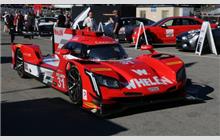 31 - Cadillac DPi-V.R #P217-008 (Dallara) - Whelen Engineering Racing