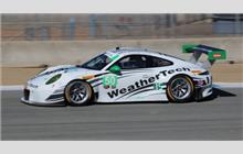 50 - Porsche 991 GT3 R - Riley Motorsports - WeatherTech Racing