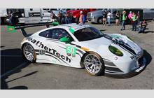 50 - Porsche 991 GT3 R - Riley Motorsports - WeatherTech Racing