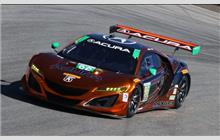 86 - Acura NSX GT3 - Michael Shank Racing w/ Curb-Agajanian
